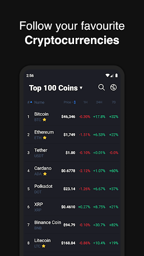Hodler Kryptowährung Portfolio Screenshot 1