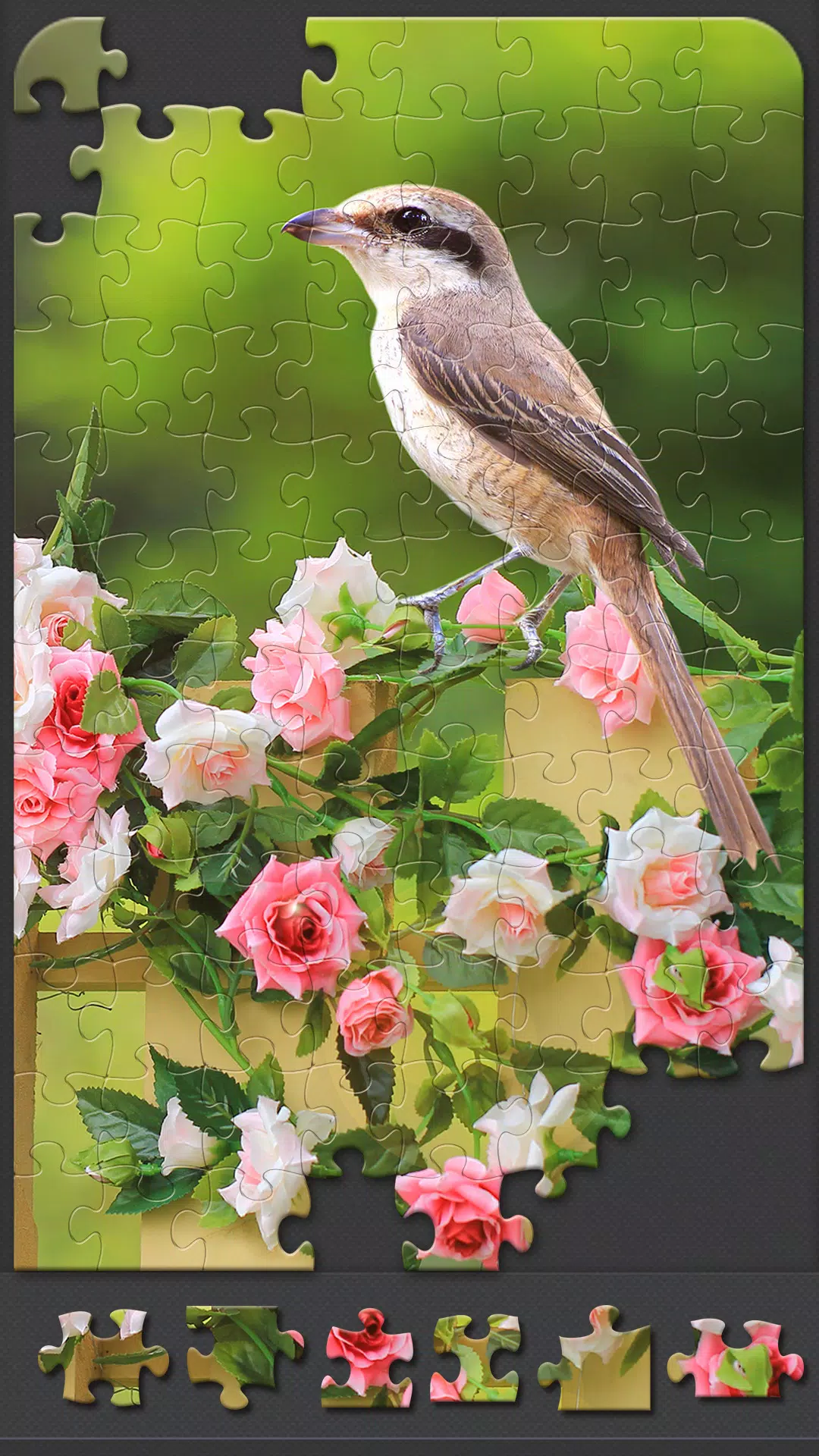 Jigsaw Puzzles for Adults Screenshot 3