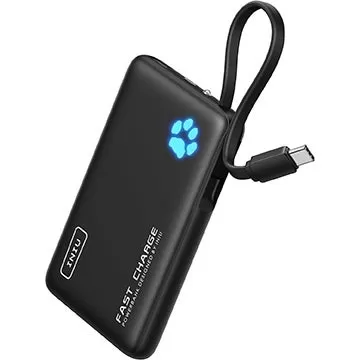 $ 11电力库收费Nintendo Switch，Steam Deck，iPhone 16以最高速度