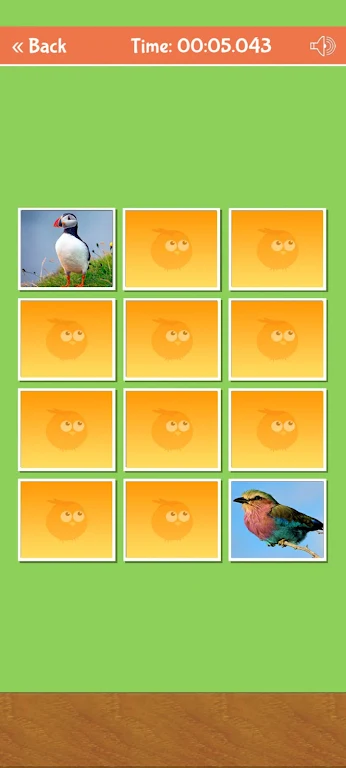 Schermata Birds Memory Match Game 2