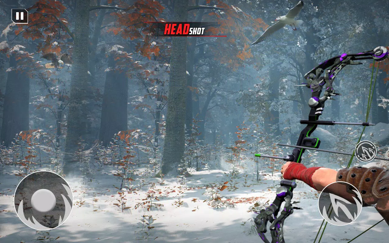 Archery Bow Hunt Shooting V2 Screenshot 3