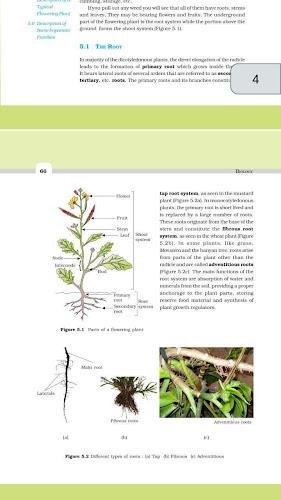 Class 11 Biology NCERT Book Schermafbeelding 2