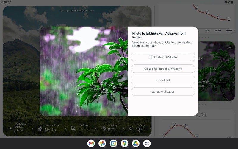 How is the Weather?應用截圖第4張