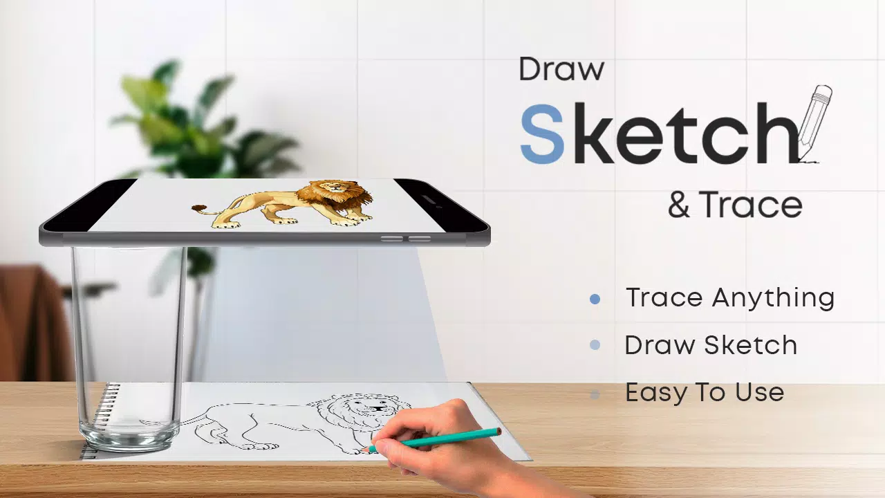 Draw Sketch & Trace Captura de tela 1