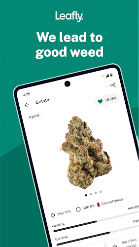 Leafly: Find Cannabis and CBD Schermafbeelding 1