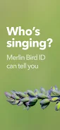 Merlin Bird ID by Cornell Lab ဖန်သားပြင်ဓာတ်ပုံ 4