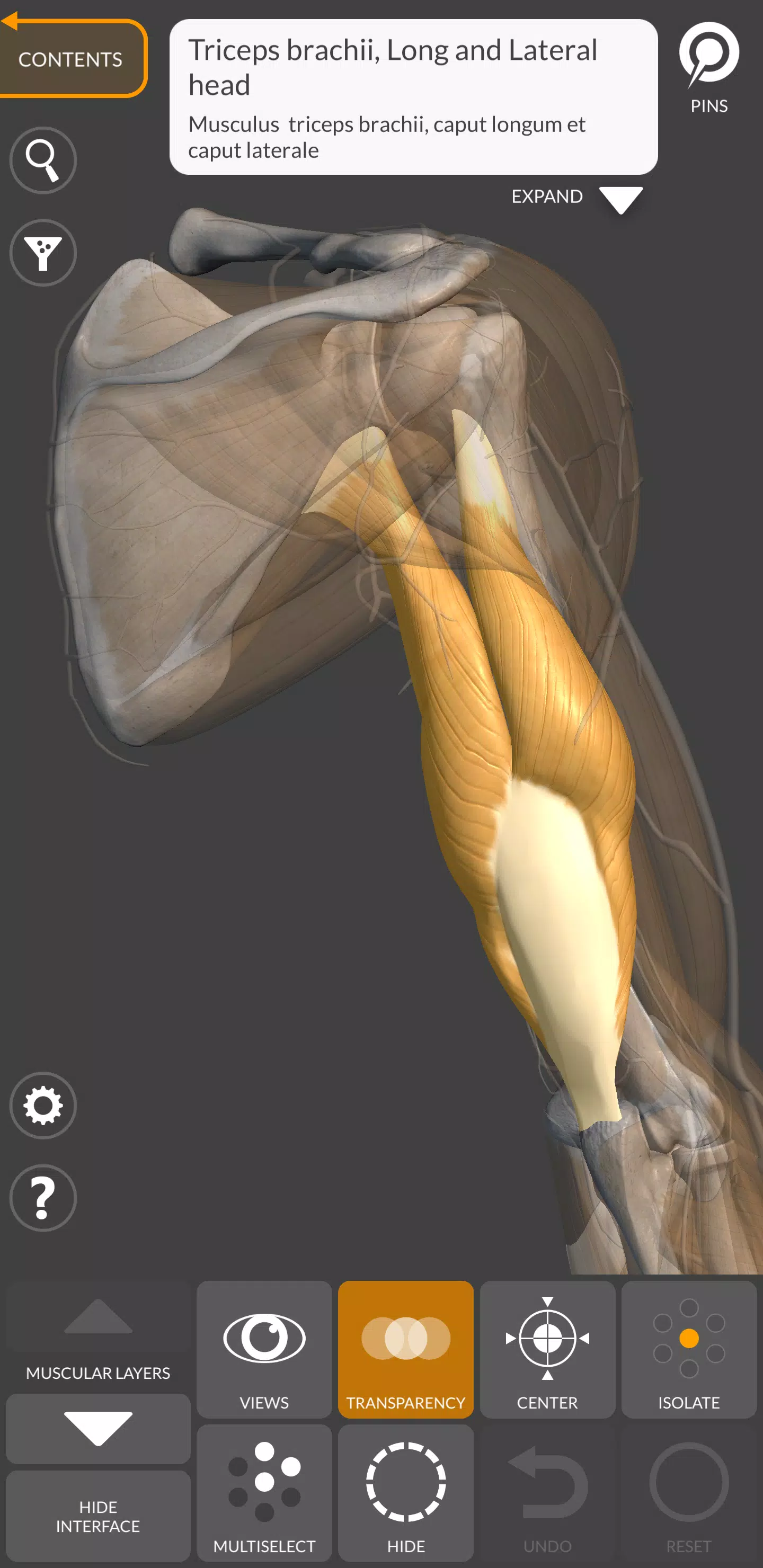 Anatomie 3D pour artiste Capture d'écran 3