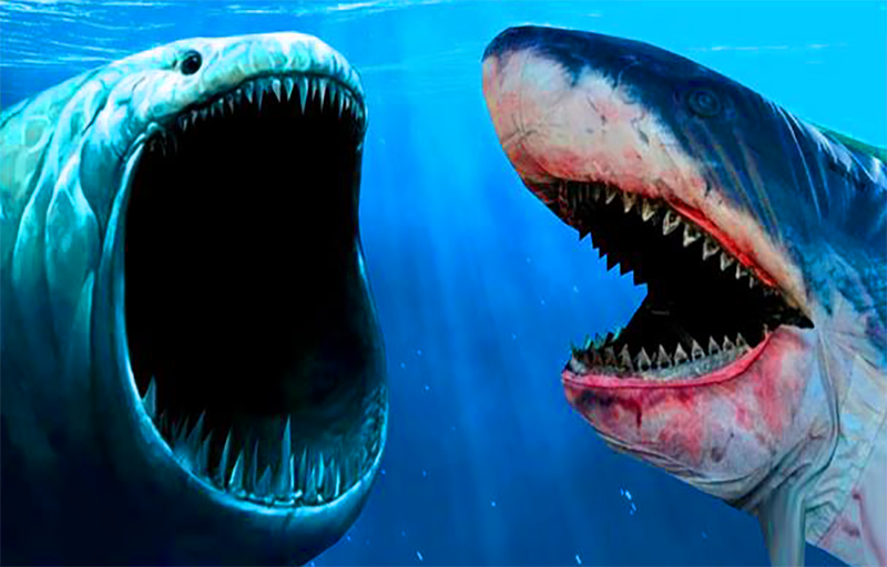 King bloop sound creature fish Tangkapan skrin 3