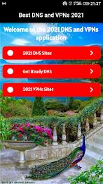 DNS and VPNs Capture d'écran 1